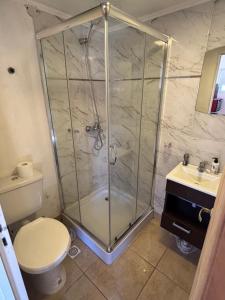 a bathroom with a shower with a toilet and a sink at Laguna de los Cisnes in Perito Moreno
