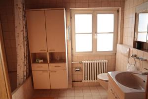 a bathroom with a toilet and a sink at Zurück zur Wurzel in Karsau