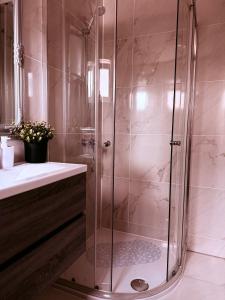 a shower with a glass door in a bathroom at Apartments Pablo Novalja in Novalja