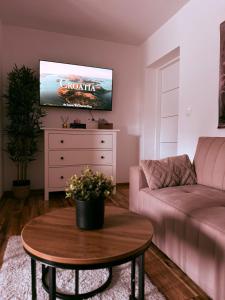 a living room with a couch and a tv at Apartments Pablo Novalja in Novalja