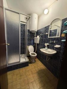a bathroom with a shower and a toilet and a sink at Apartmani Vita in Divčibare