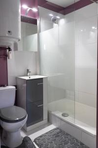 a bathroom with a shower and a toilet and a sink at Le reflet de Cabourg avec accès direct plage in Cabourg +8 photos