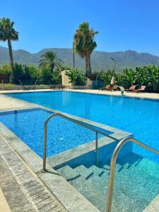 a swimming pool with palm trees and mountains in the background at The Horse Farm Hotel in Kyrenia