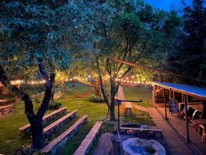 a garden with lights and a fire pit at night at Wąkop 6 Agroturystyka Eco in Nowa Słupia