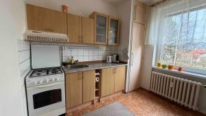 a kitchen with a stove and a sink and a window at U Aleny pod Radhoštěm in Rožnov pod Radhoštěm