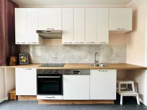 a kitchen with white cabinets and a sink at KÜCHWALDBLICK Designsuite in Chemnitz