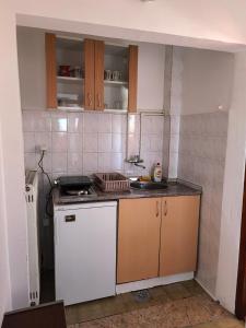 a small kitchen with a stove and a sink at Apartmani Vita in Divčibare +26 photos