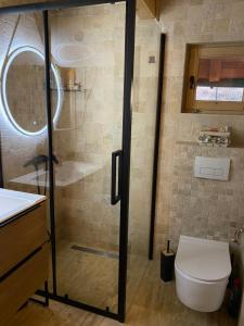 a bathroom with a shower and a toilet and a sink at Brvnara Zoja - Zlatar in Prorečane +20 photos