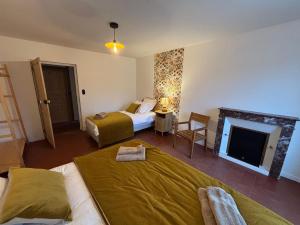 a bedroom with two beds and a fireplace at La Parenthèse Sancerroise in Savigny-en-Sancerre +20 photos