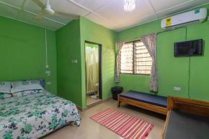 a bedroom with green walls and a bed and a window at Wli Waterfalls Inn,My Home Your Home in Wli Afegame