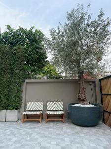 two benches sitting next to a tree in a pot at Wynora Hotel in Klong Toi