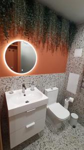 a bathroom with a sink and a toilet and a mirror at Fukša Saules dzīvoklis in Madona +34 photos