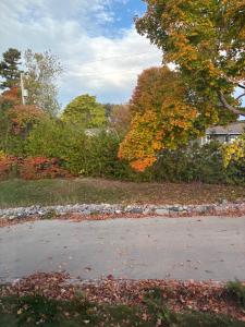 a driveway with autumn leaves on the ground at Lakeview in Colborne