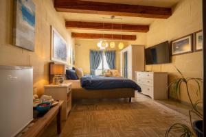 a bedroom with a bed and a tv in it at Ajuga Luxury Boutique B&B in Qala