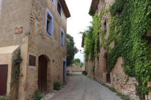 an alley in an old stone building with ivy at Escapada rural en Nulles, cerca de Tarragona in Nulles