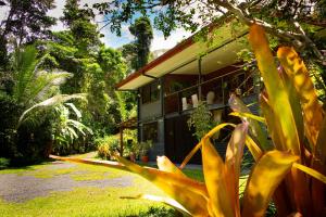 Sodas prie apgyvendinimo įstaigos Tranquil Rainforest Studio Kuranda