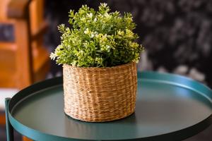 a wicker planter sitting on top of a table at Hotel Le Coureau in Saint-Trojan-les-Bains