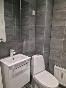 a bathroom with a white toilet and a sink at Bayer Apartments Copenhagen in Rødovre +4 photos