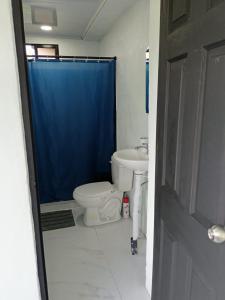a bathroom with a toilet and a blue shower curtain at Villa Terraza in El Castillo de La Fortuna