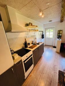 Majoituspaikan Nyager Apartments keittiö tai keittotila