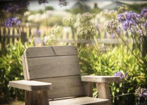 a wooden bench sitting in front of purple flowers at Devlin's Cottage in Cape Bridgewater