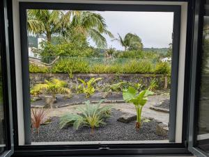 a view of a garden through a window at Vulcânica - Boutique Suites in Furnas São Miguel in Furnas