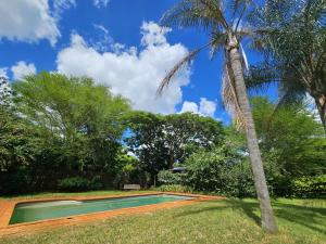 a palm tree next to a swimming pool at Schuilhoek Farm House at Ngweni Private Game Farm in Hluhluwe