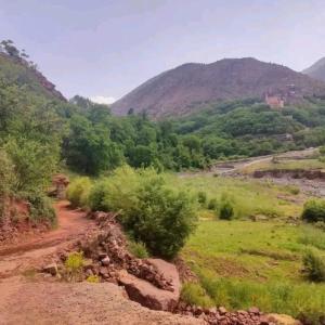 a dirt road in a field with mountains in the background at Azadne in Oulad Akkou