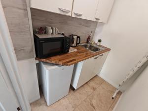 a small kitchen with a sink and a microwave at Lilac Studio - Self Contained One-Bed Studio Flat in Oxford