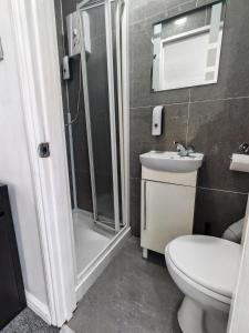 a bathroom with a shower and a toilet and a sink at Lilac Studio - Self Contained One-Bed Studio Flat in Oxford