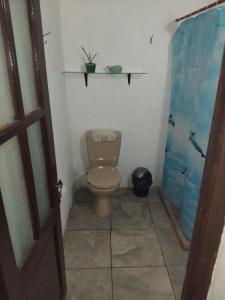 a bathroom with a toilet and a shower at Casona Estación Cabra Corral in Coronel Moldes +19 photos