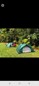 two tents sitting on the grass in a field at Laminas beach camp in Kilifi
