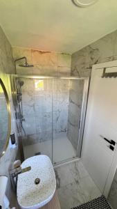 a bathroom with a shower with a sink and a toilet at Villa AMULET - Spacious 3BR Villa near Postojna Cave in Postojna +30 photos