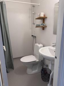 a bathroom with a toilet and a sink at Södra Ljunga Vandrarhem in Ljungby