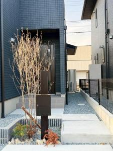 a building entrance with a tree in front of it at Akikawa Koshi 13 新築木造一棟貸切ヴィラ in Yuge