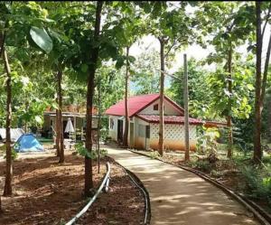 a train track in front of a house with trees at ดงสัก สไตล์ป่า ไทรโยคน้อย in Ban Phu Pla Kang