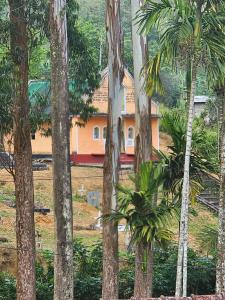 a house in the middle of a forest of trees at Bloomy villa in Hatton +2 photos