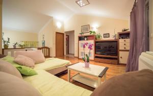 ラブにあるCaptain's Apartmentのソファ2つとテレビのあるリビングルーム