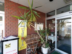 a group of potted plants on the side of a building at Tabist Hotel New Nemuro in Nemuro
