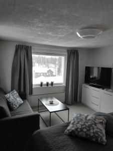 a living room with a couch and a large window at Lakeview apartment, Espoo in Espoo