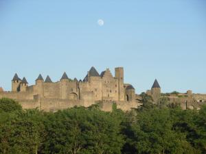 カルカソンヌにあるCarcassonne Pont Vieux Apartmentsの手前に木々が植えられた丘の上の城