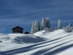 Hotel Surselva talvel