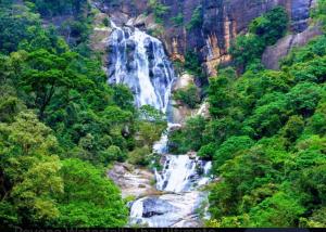 a waterfall on the side of a mountain with trees at Skyline & bitcoin coffee lodge in Kalutara