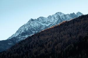 Fotografie z fotogalerie ubytování Appartements Rendl v destinaci Sankt Anton am Arlberg