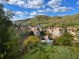 a view of a small town in the hills at Casa Arthur, Transylvanian heritage house in Richişu