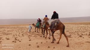 a group of people riding camels in the desert at Iriki Desert Camp Foum Zguid in Foum Zguid