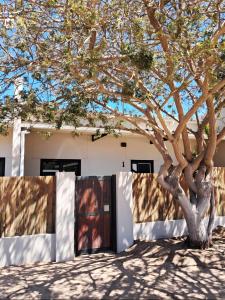 a house with a tree in front of it at Shiloah Guesthouse Unit 3 in Oranjemund