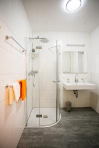 ein Bad mit einer Dusche und einem Waschbecken in der Unterkunft Haus Steirer am Kaiserwald in Premstätten