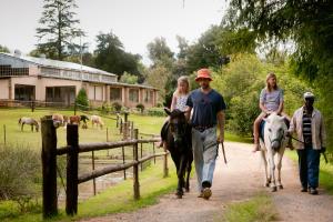 a group of people riding horses down a dirt road at Ardmore Guest Farm in Champagne Valley
