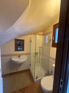 a bathroom with a sink and a shower and a toilet at Nostalgia Guesthouse Arachova in Arachova +9 photos